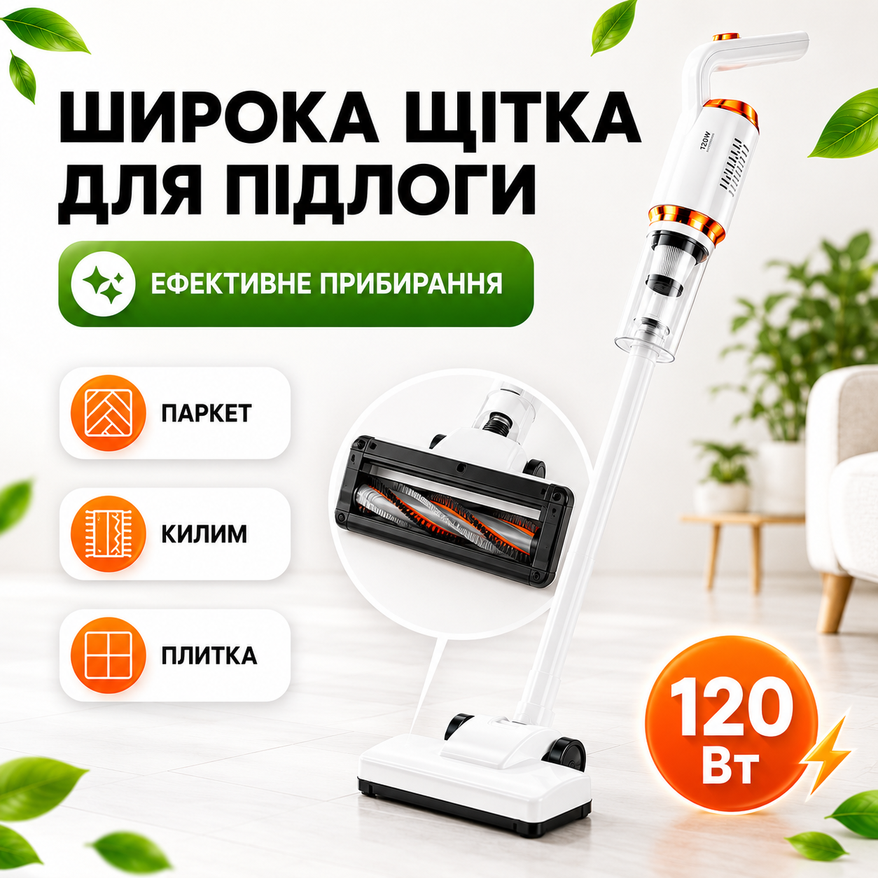 Кути